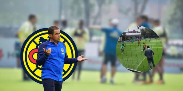 André Jardine (Foto: Imago7)