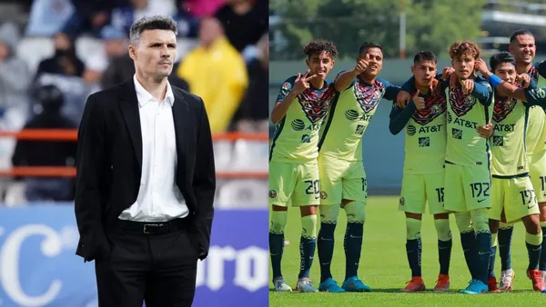 image-00838d32-a5d6-11ee-b955-7e0aa5da29dc