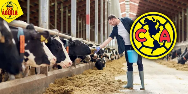 Imagen de una granja (ESPECIAL)