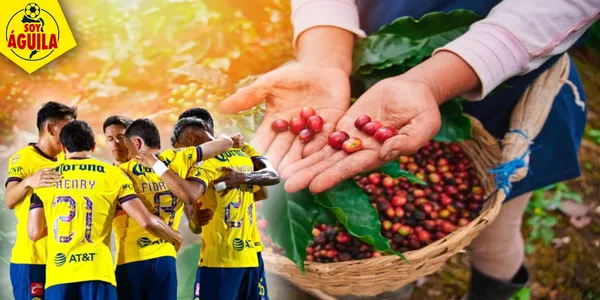 Jugadores del América y recolección de café (Fuente: MEXSPORT)