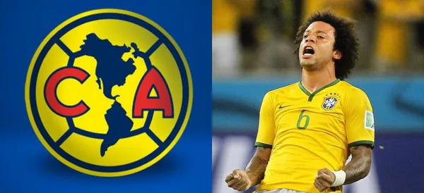 Si se diera su llegada al nido, rompería el mercado