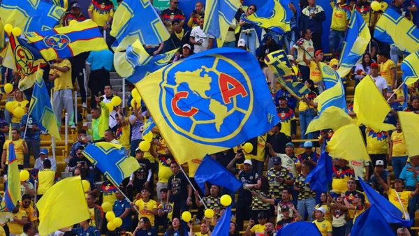 Todas las novedades del equipo cementero en un solo lugar.